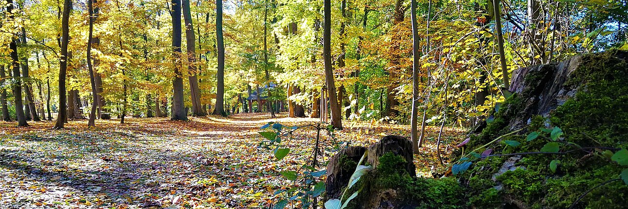 [Translate to English:] Lieblingsplatz Bürgerpark. Foto: Anja Hauke/Stadt Günzburg