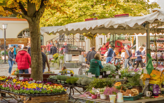regionale Lebensmittel, frisches Gemüse, lokal Einkaufen, Wochenmarkt, 