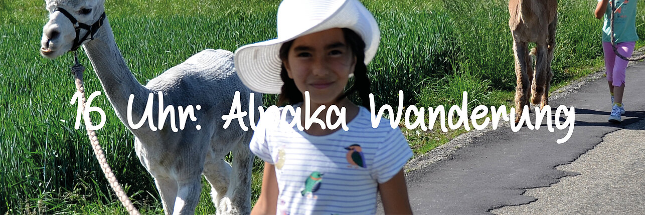 Wandern mit den Alpakas im Donaumoos. Foto: Jürgen Jahn