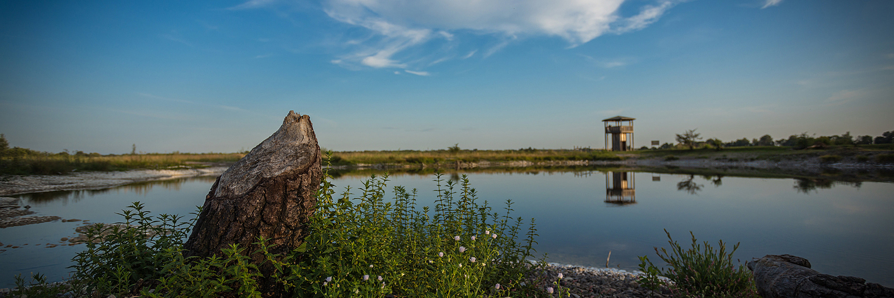 Donaumoos bei Günzburg. Foto: Philipp Röger für die Stadt Günzburg