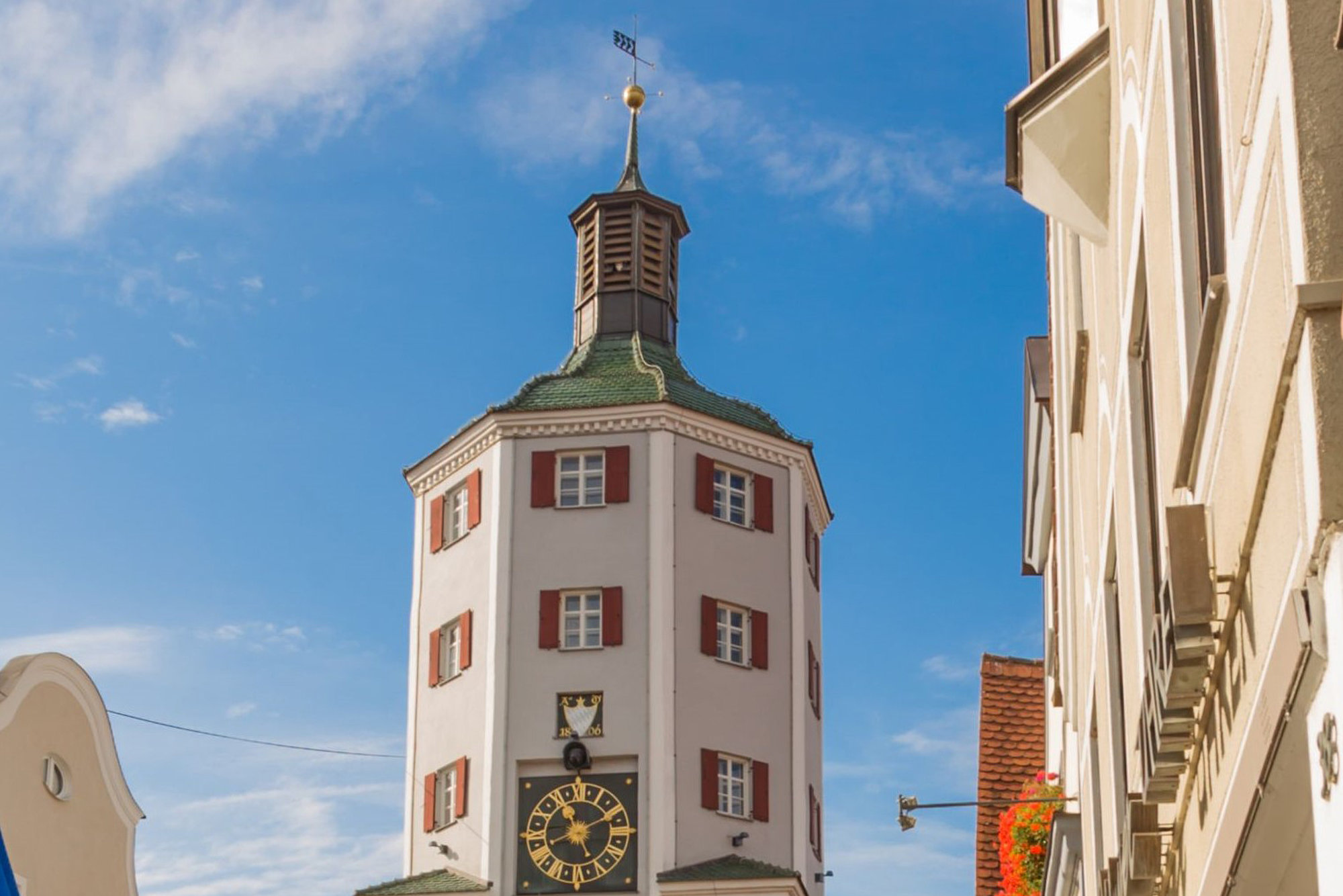 Von Schwänen und Gänsen. Foto: Philipp Röger für die Stadt Günzburg