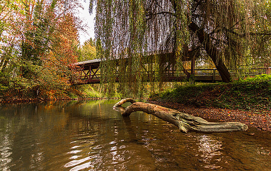 Stadtparks Günzburg. Foto: Philipp Röger für die Stadt Günzburg